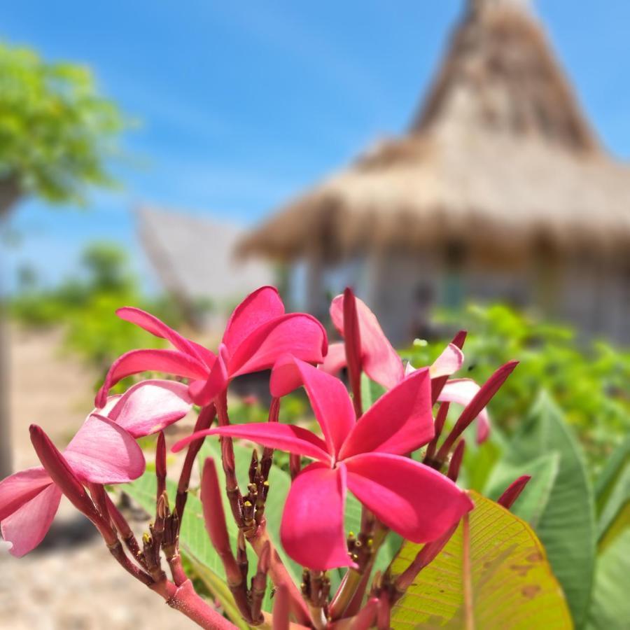 Hotel Hars Garden Sumba Waingapu Exterior foto